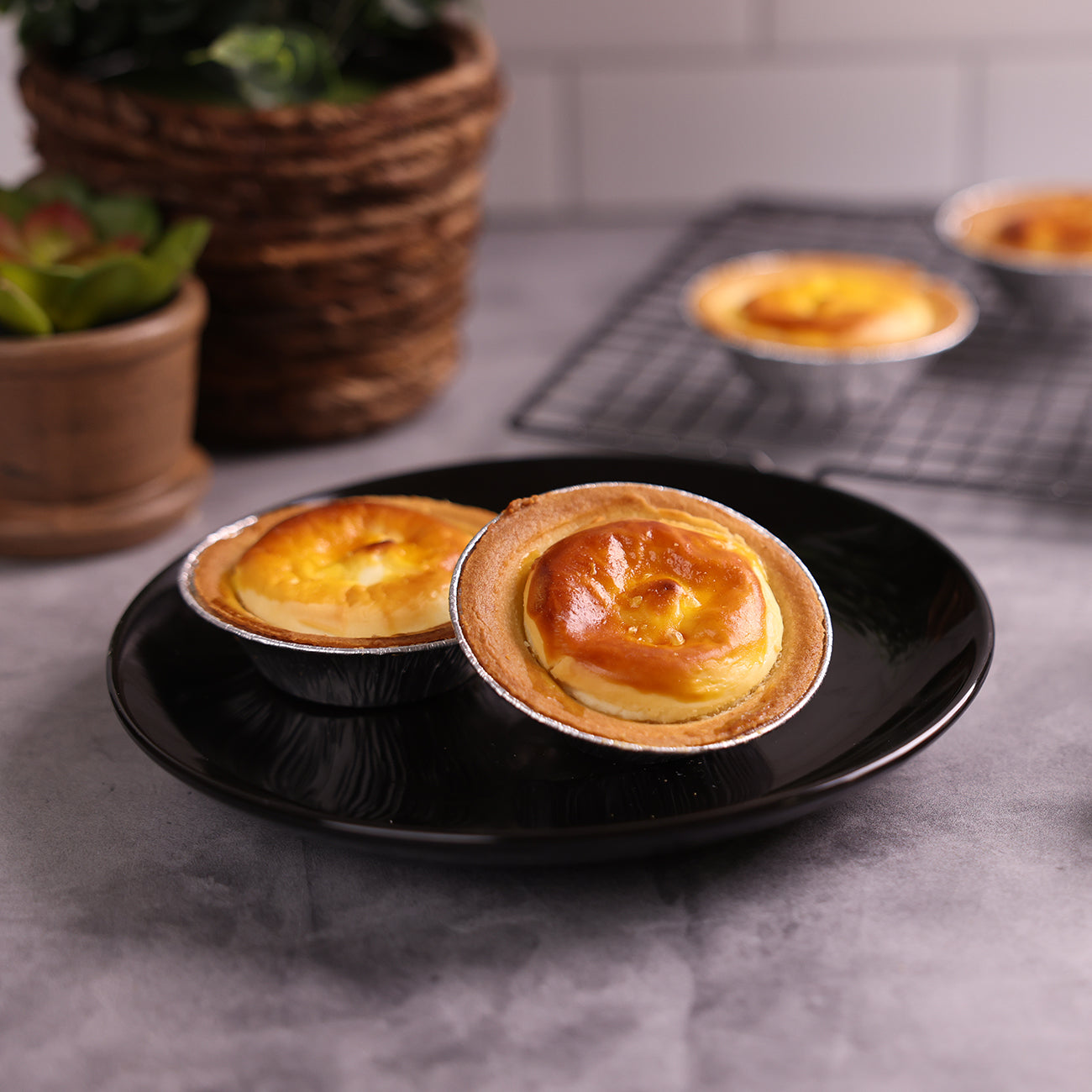 Hokkaido Cheese Tart