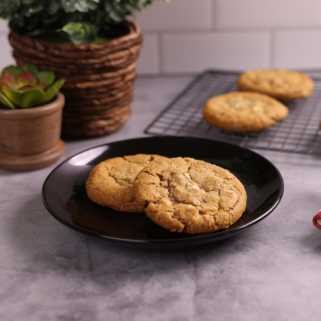 White Chocolate Macadamia Cookie